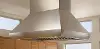 PI543418 Wolf Pro 48 Inch Island Hood - Stainless Steel