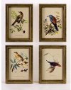 Bird Plaques - Set of 4