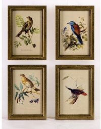 Bird Plaques - Set of 4