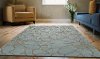 3 x 5 Small Azure Blue Rug - Carriage-3