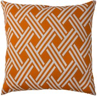Tangerine Weave 22 Inch Indoor-Outdoor Throw Pillow