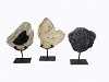 Assorted Petrified Wood on Stand