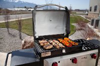 BB90L BBQ Grill Box Hinged Lid - Grill Accessories-6