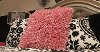 Lil' Diva Champagne Twin Bed-2