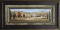 Tuscan Poppies I Framed Wall Art