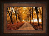 Well Traveled Road Framed Wall Art