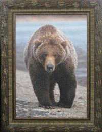 Grizzly Bear Framed Art