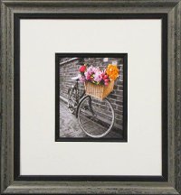 Bicycle with Basket of Flowers II Framed Wall Art