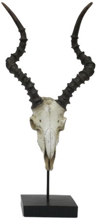 Resin Table Top Animal Skull