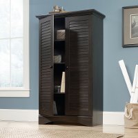 Antiqued Paint Storage Cabinet - Harbor View -2