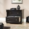 Black Oak Lateral File - Padillia -2