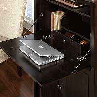 Black Secretary - Edge Water-5