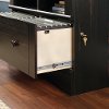 Antiqued Paint Lateral File - Harbor View -1