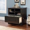 Antiqued Paint Lateral File Cabinet - Harbor View -3