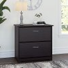 Espresso Oak 2-Drawer Lateral File - Cabot -1