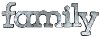 Galvanized family Word Decor