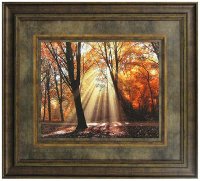 Dressed to Shine Framed Wall Art