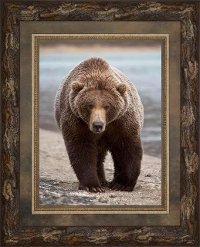 Grizzly Bear Framed Wall Art