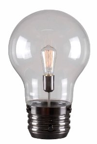 Edison Antique Brass Table Lamp