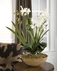Moth White Orchid Faux Planter Arrangement