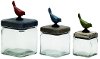 9 Inch Glass Lidded Canister with Bird