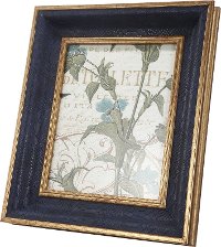 Navy Blue with Gold Accents Picture Frame