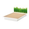 8050098K White Queen Platform Bed with Grass Decal Headboard (60 Inch) - Step One-4