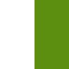 8050098K White Queen Platform Bed with Grass Decal Headboard (60 Inch) - Step One-5
