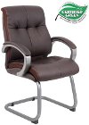 Plush Brown Leather Guest Chair-1