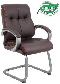 Plush Brown Leather Guest Chair