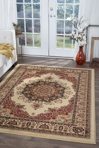SNS47025X8 5 x 7 Medium Red and Beige Area Rug - Sensation-2