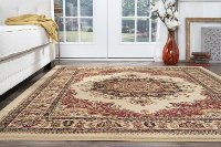 SNS47025X8 5 x 7 Medium Red and Beige Area Rug - Sensation-6