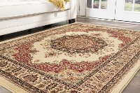 SNS47025X8 5 x 7 Medium Red and Beige Area Rug - Sensation-7