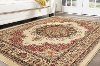 SNS4702 8x11 8 x 10 Large Red and Beige Area Rug - Sensation-7