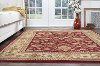 SNS4720 8x11 8 x 10 Large Red & Beige Area Rug - Sensation-6