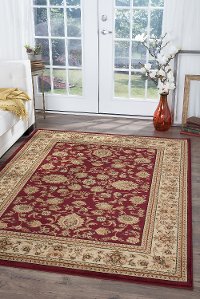 SNS47208x11 8 x 10 Large Red and Beige Area Rug - Sensation-2