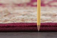 SNS47208x11 8 x 10 Large Red and Beige Area Rug - Sensation-3
