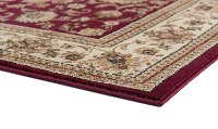 SNS47208x11 8 x 10 Large Red and Beige Area Rug - Sensation-4