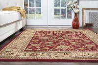 SNS47208x11 8 x 10 Large Red and Beige Area Rug - Sensation-6