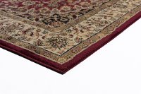 ELG53905x7 5 x 7 Medium Ivory, Red, and Gold Area Rug - Elegance-3