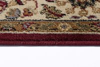 ELG53905x7 5 x 7 Medium Ivory, Red, and Gold Area Rug - Elegance-4