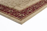 ELG54028X10 8 x 10 Large Ivory, Gold, and Red Area Rug - Elegance-3