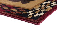 NTR65905x8 5 x 7 Medium Red, Brown, and Tan Area Rug - Nature-4