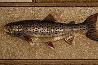 NTR66023x8 Brown and Tan 7 Foot Runner Rug - Nature-7