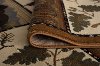NTR6610 3x8 Green, Brown, and Beige 7 Foot Runner Rug - Nature-6
