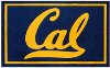4911 2 x 3 X-Small UC Berkeley Area Rug