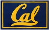 4911 2 x 3 X-Small UC Berkeley Area Rug