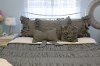 Beddy's King Modern Gray Ruffle Bedding Collection-2
