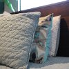 Mira Full-Queen Bedding Collection-2