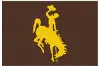 1582 2 x 3 X-Small Brown University of Wyoming Area Rug